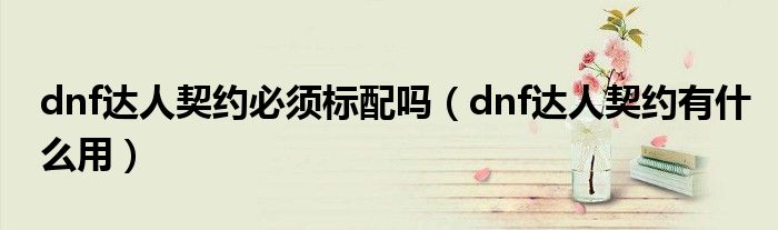 dnf达人契约必须标配吗(dnf达人契约有什么用)
