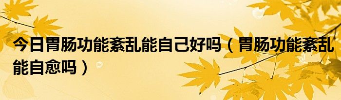 今日胃肠功能紊乱能自己好吗(胃肠功能紊乱能自愈吗)