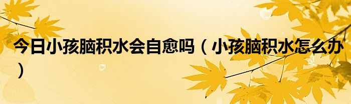 今日小孩脑积水会自愈吗(小孩脑积水怎么办)