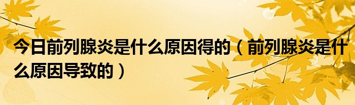 今日前列腺炎是什么原因得的(前列腺炎是什么原因导致的)