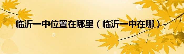 临沂一中位置在哪里(临沂一中在哪)