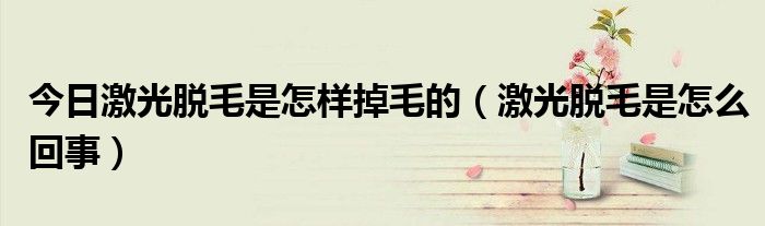 今日激光脱毛是怎样掉毛的(激光脱毛是怎么回事)
