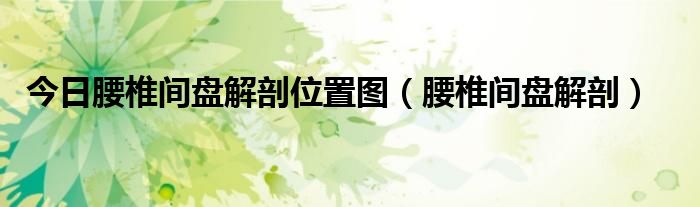 今日腰椎间盘解剖位置图(腰椎间盘解剖)