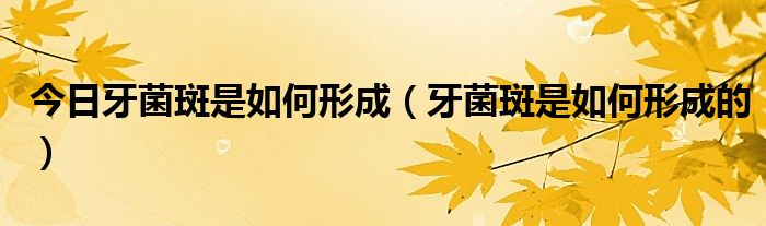 今日牙菌斑是如何形成(牙菌斑是如何形成的)