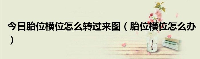 今日胎位横位怎么转过来图(胎位横位怎么办)
