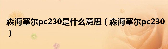 森海塞尔pc230是什么意思(森海塞尔pc230)