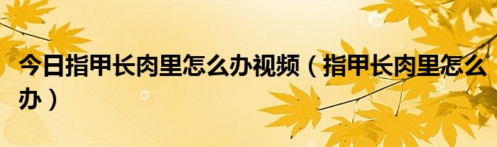 今日指甲长肉里怎么办视频(指甲长肉里怎么办)