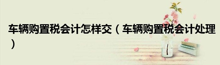 车辆购置税会计怎样交(车辆购置税会计处理)