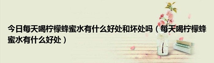 今日每天喝柠檬蜂蜜水有什么好处和坏处吗(每天喝柠檬蜂蜜水有什么好处)