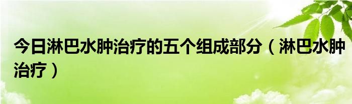 今日淋巴水肿治疗的五个组成部分(淋巴水肿治疗)