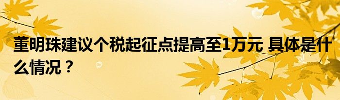 董明珠建议个税起征点提高至1万元 具体是什么情况?