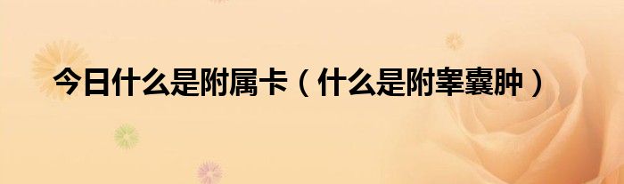 今日什么是附属卡(什么是附睾囊肿)