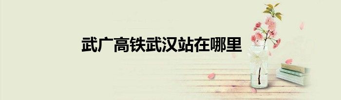 武广高铁武汉站在哪里