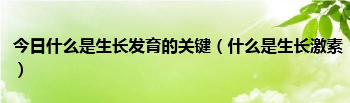 今日什么是生长发育的关键(什么是生长激素)