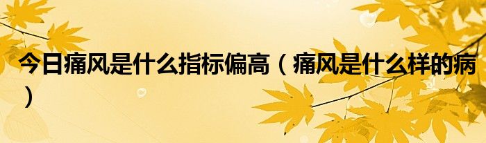 今日痛风是什么指标偏高(痛风是什么样的病)
