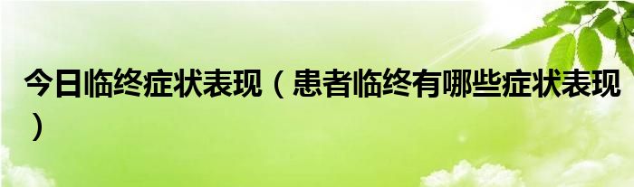 今日临终症状表现(患者临终有哪些症状表现)