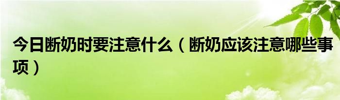 今日断奶时要注意什么(断奶应该注意哪些事项)