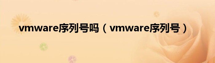 vmware序列号吗(vmware序列号)