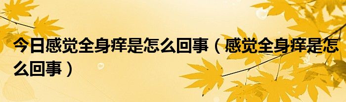 今日感觉全身痒是怎么回事(感觉全身痒是怎么回事)