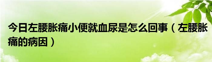 今日左腰胀痛小便就血尿是怎么回事(左腰胀痛的病因)