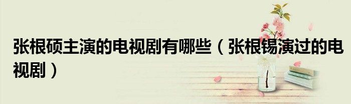 张根硕主演的电视剧有哪些(张根锡演过的电视剧)