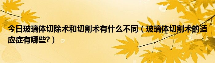 今日玻璃体切除术和切割术有什么不同(玻璃体切割术的适应症有哪些?)
