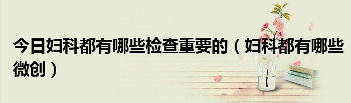 今日妇科都有哪些检查重要的(妇科都有哪些微创)