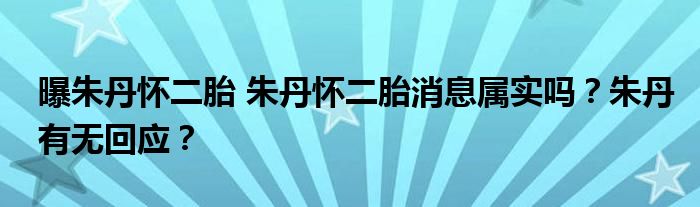 曝朱丹怀二胎 朱丹怀二胎消息属实吗？朱丹有无回应？