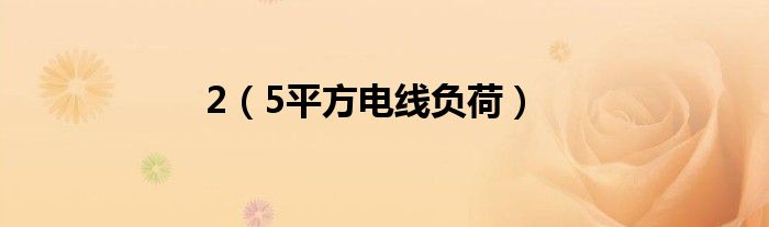 2（5平方电线负荷）