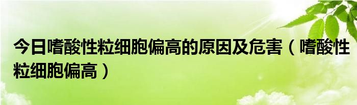 今日嗜酸性粒细胞偏高的原因及危害(嗜酸性粒细胞偏高)