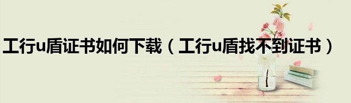 工行u盾证书如何下载(工行u盾找不到证书)