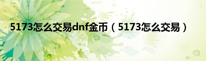 5173怎么交易dnf金币(5173怎么交易)