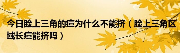 今日脸上三角的痘为什么不能挤(脸上三角区域长痘能挤吗)