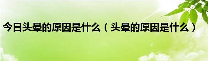 今日头晕的原因是什么(头晕的原因是什么)