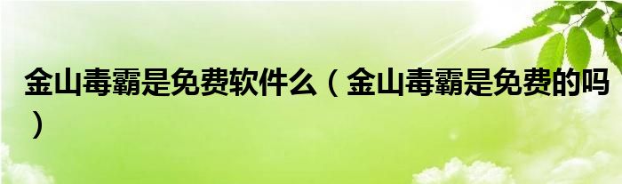 金山毒霸是免费软件么(金山毒霸是免费的吗)