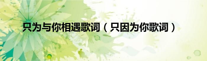 只为与你相遇歌词(只因为你歌词)
