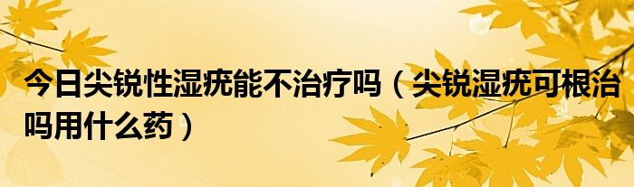 今日尖锐性湿疣能不治疗吗(尖锐湿疣可根治吗用什么药)
