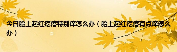 今日脸上起红疙瘩特别痒怎么办(脸上起红疙瘩有点痒怎么办)