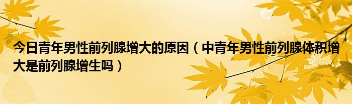 今日青年男性前列腺增大的原因(中青年男性前列腺体积增大是前列腺增生吗)