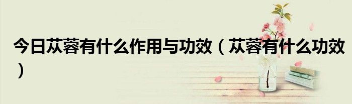 今日苁蓉有什么作用与功效(苁蓉有什么功效)