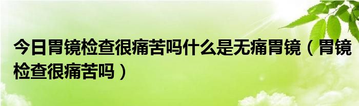 今日胃镜检查很痛苦吗什么是无痛胃镜(胃镜检查很痛苦吗)