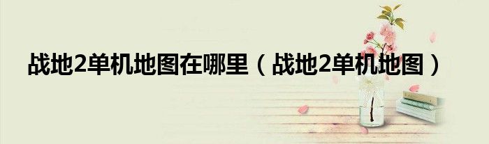战地2单机地图在哪里(战地2单机地图)