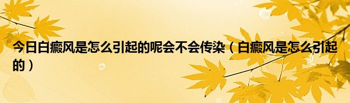 今日白癜风是怎么引起的呢会不会传染(白癜风是怎么引起的)