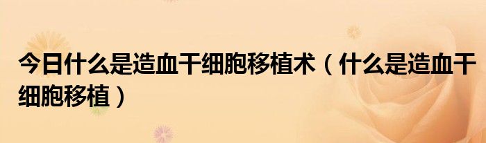 今日什么是造血干细胞移植术(什么是造血干细胞移植)
