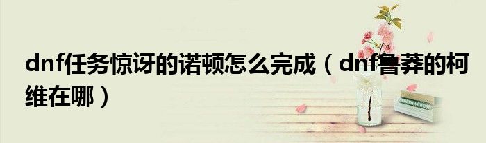 dnf任务惊讶的诺顿怎么完成(dnf鲁莽的柯维在哪)