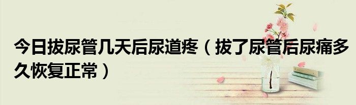 今日拔尿管几天后尿道疼(拔了尿管后尿痛多久恢复正常)