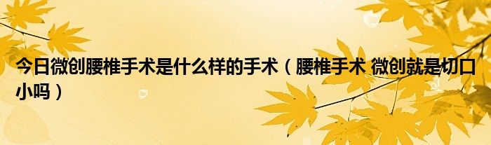 今日微创腰椎手术是什么样的手术(腰椎手术 微创就是切口小吗)