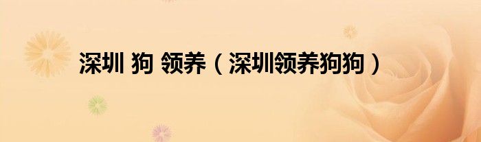 深圳 狗 领养(深圳领养狗狗)