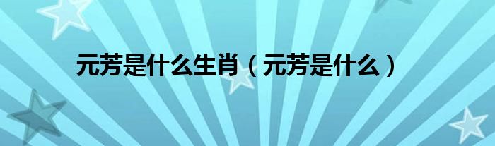元芳是什么生肖(元芳是什么)