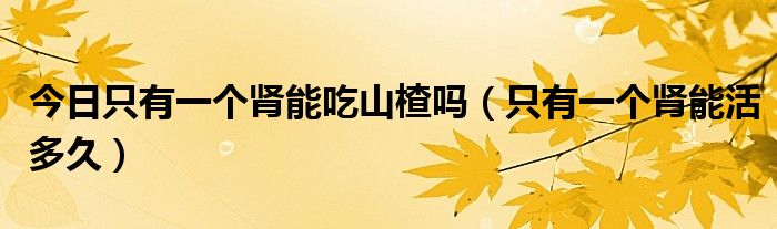 今日只有一个肾能吃山楂吗(只有一个肾能活多久)